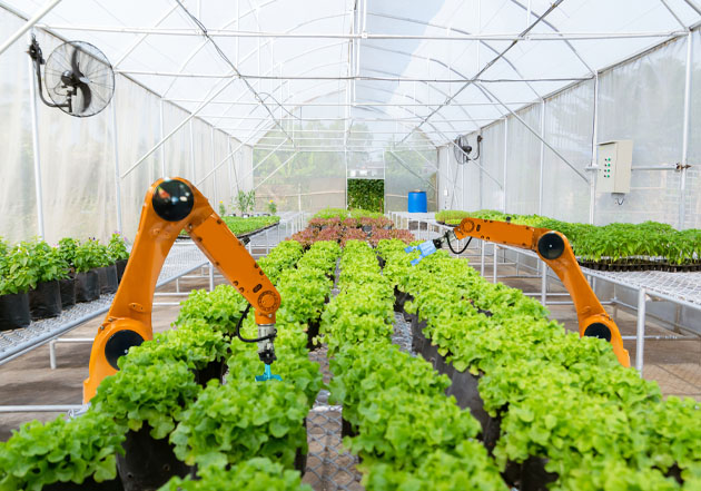 亚投app官方下载